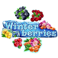 Winter Berries Spielautomat